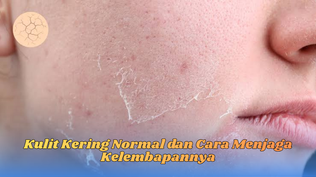 kulit kering normal